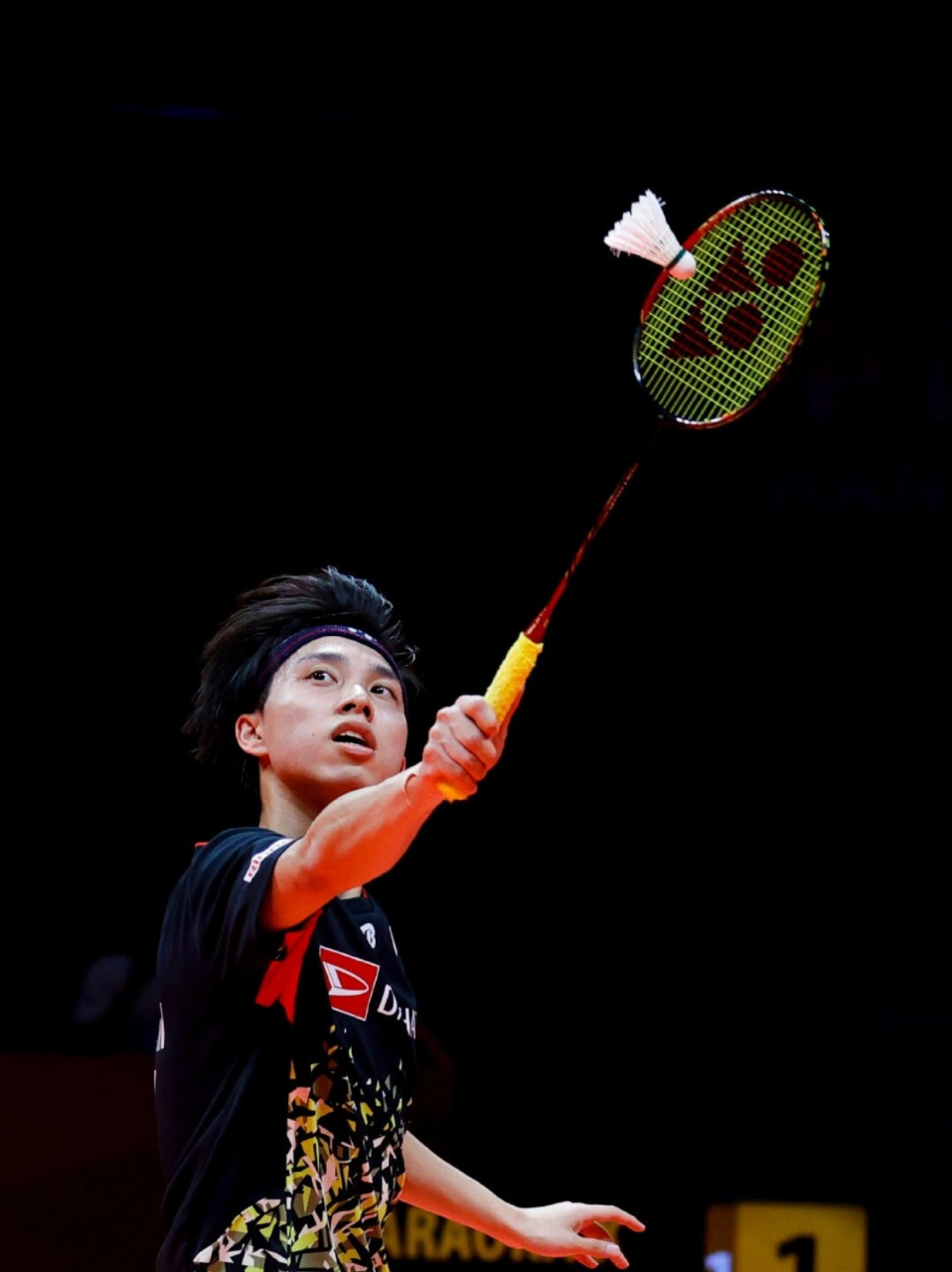 的种族主义 的种族主义