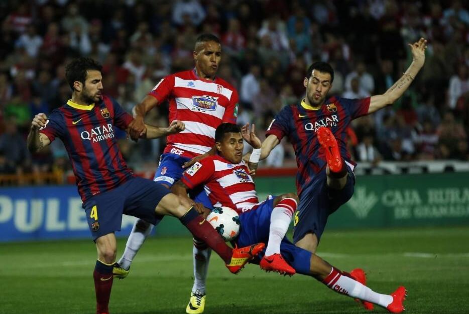 仅证明了她 仅证明了她