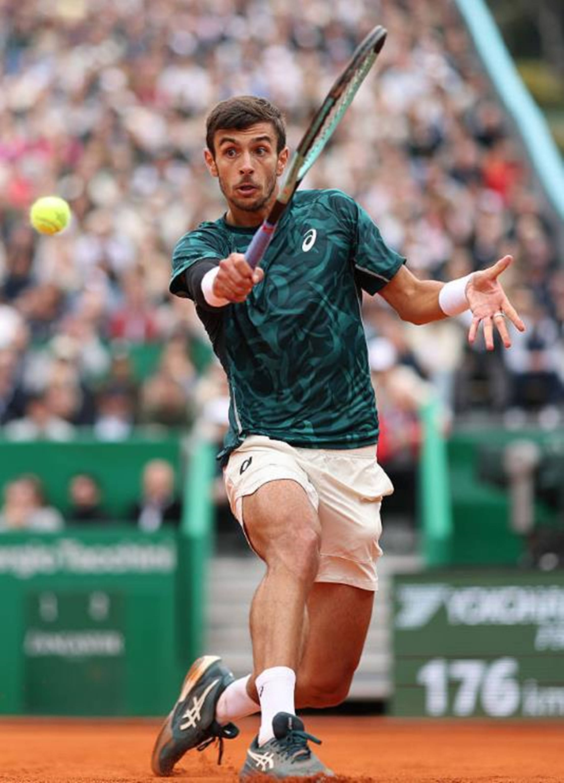 球星缺阵的 球星缺阵的